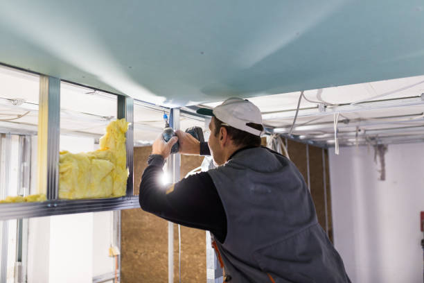 Best Attic Insulation Installation  in Broken Bow, NE